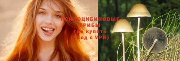винт Инта