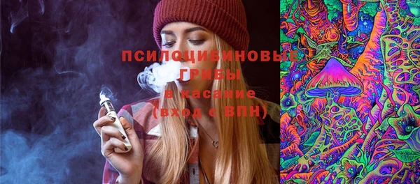 сатива Инсар