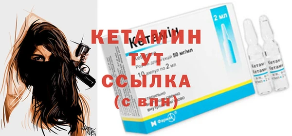 сатива Инсар