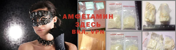 сатива Инсар