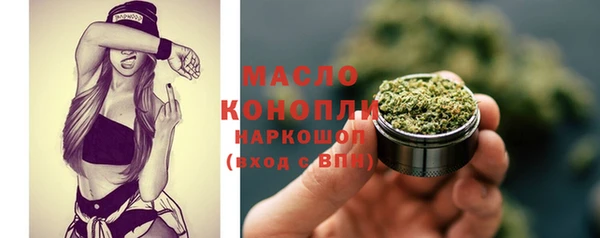 винт Инта