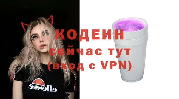 винт Инта