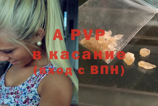 винт Инта