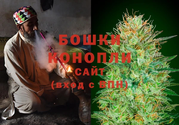 винт Инта