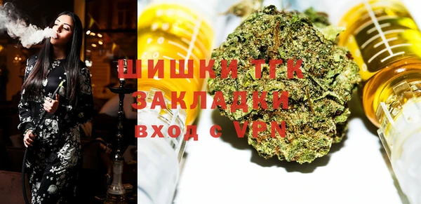 винт Инта