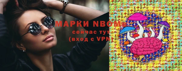 сатива Инсар