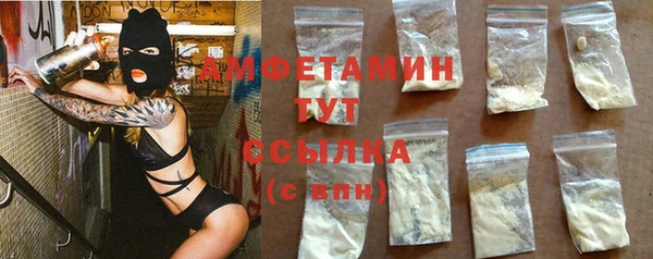 сатива Инсар