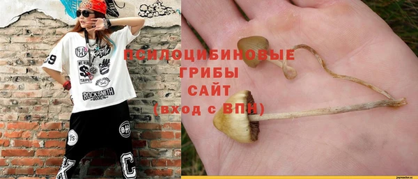 винт Инта