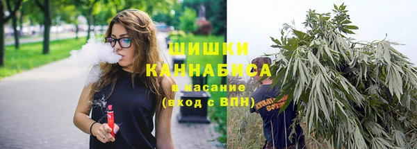 винт Инта