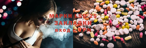 сатива Инсар