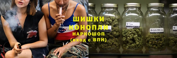 сатива Инсар