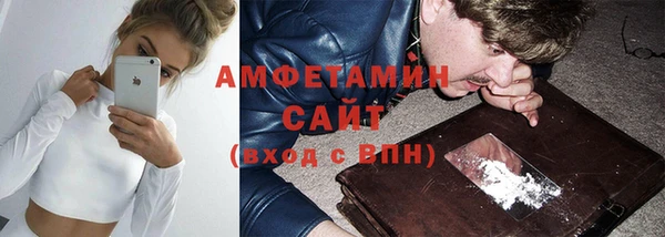 сатива Инсар