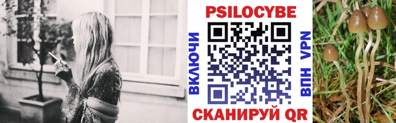 Галлюциногенные грибы прущие грибы  Купить где  Кодинск 